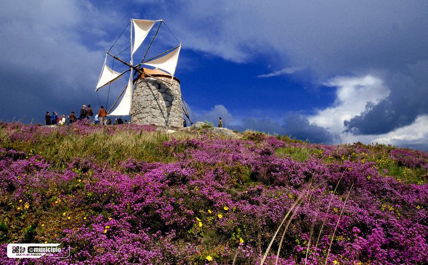 Dia Nacional dos Moinhos 2022