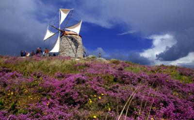 Moinho de Vento